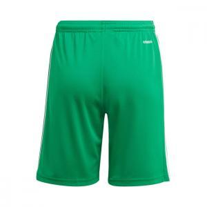 Squadra 21 pantaloncino uomo  verde