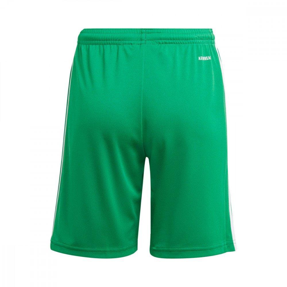 ADIDAS PANTALONCINO SQUADRA 21 CALCIO UOMO VERDE  GN5769