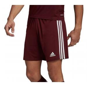 Squadra 21 pantaloncino uomo  bordeaux