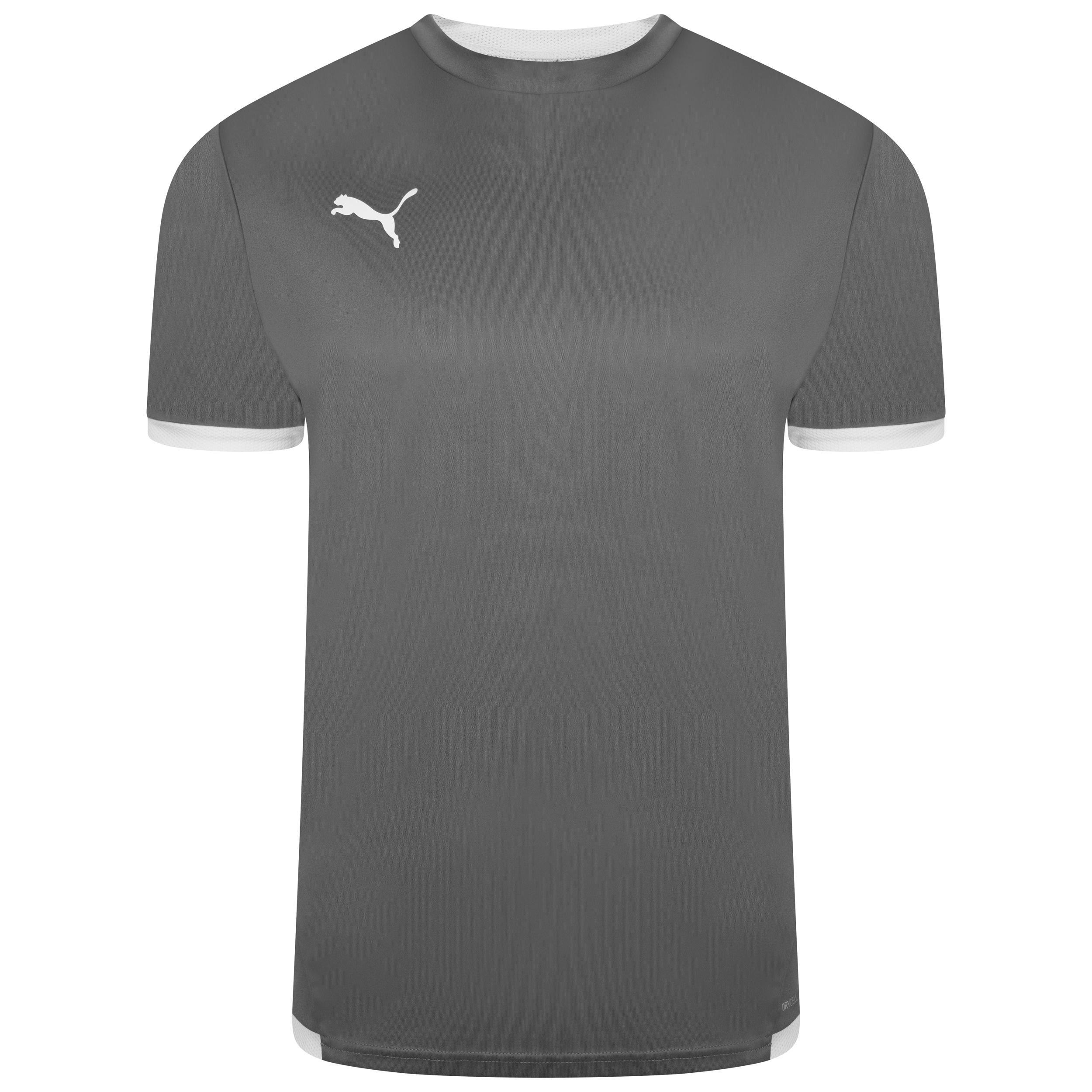 PUMA MAGLIA TEAMLIGA GRIGIO 704917-13 UOMO