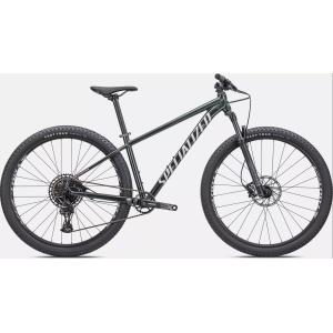 Bici rockhopper expert 29 oakgrnmet/metwhtsil