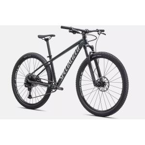 Bici rockhopper expert 29 oakgrnmet/metwhtsil