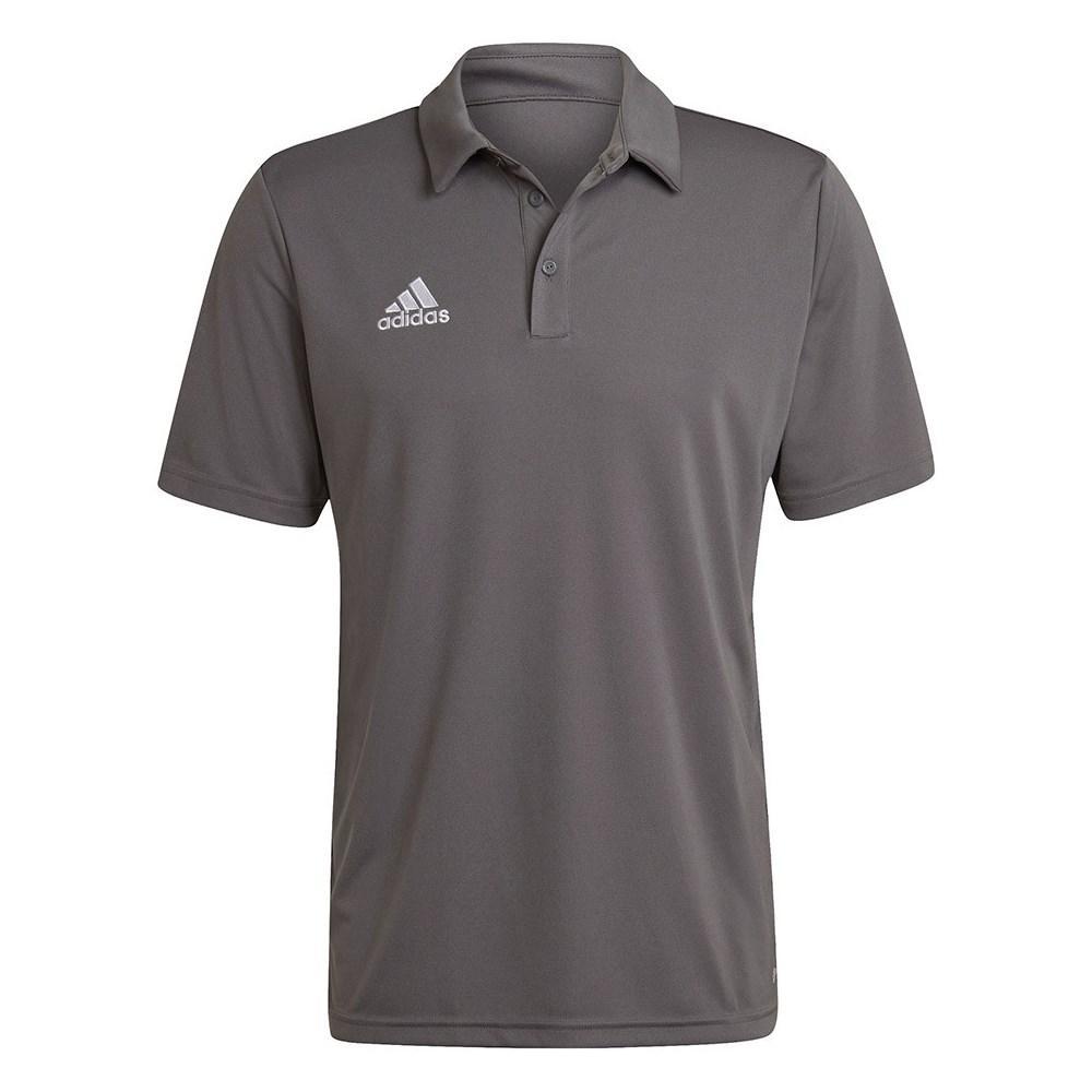 adidas adidas polo entrada22 polo uomo grigio