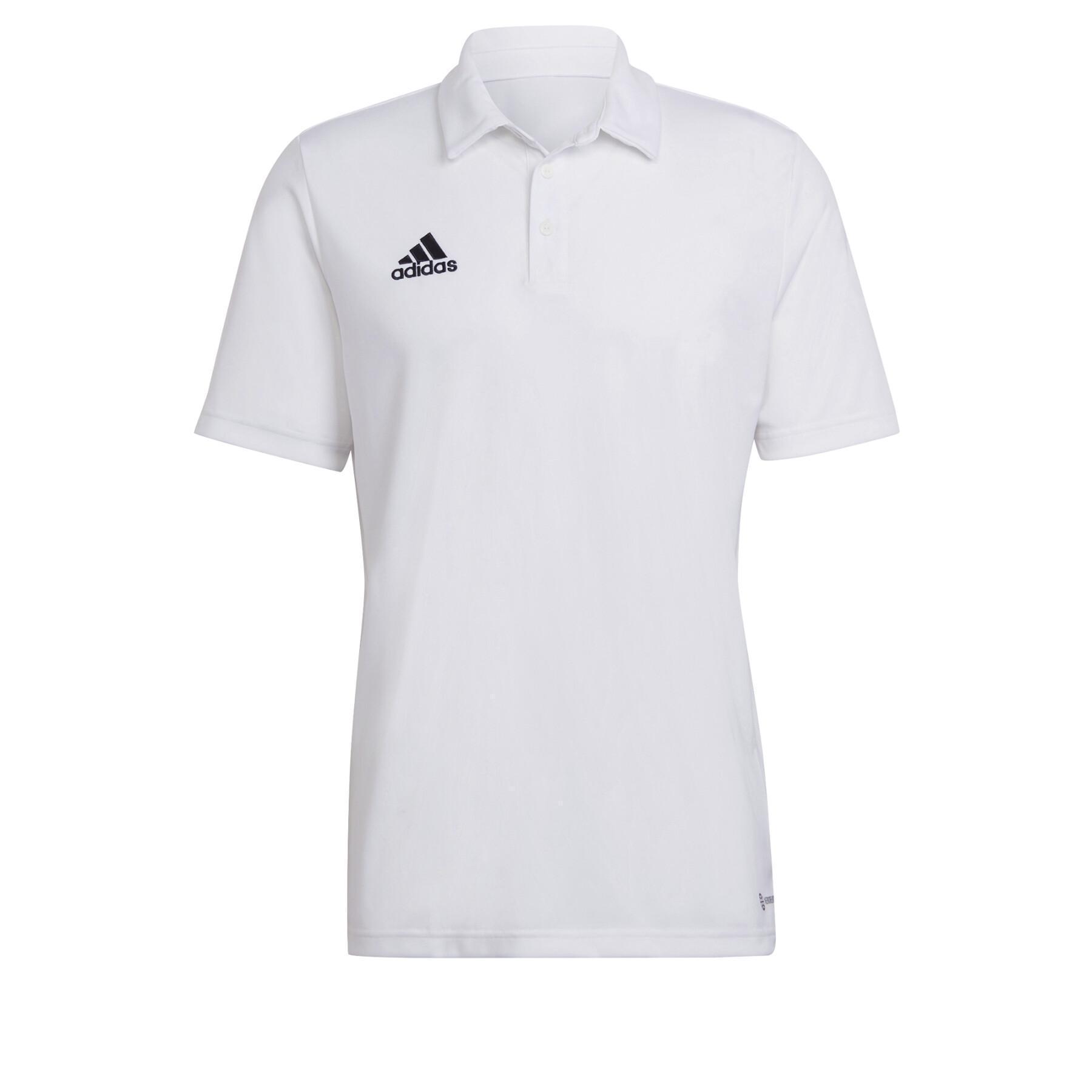 adidas adidas polo entrada 22 polo uomo bianco