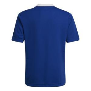 Entrada 22 maglia  bambino blu royal