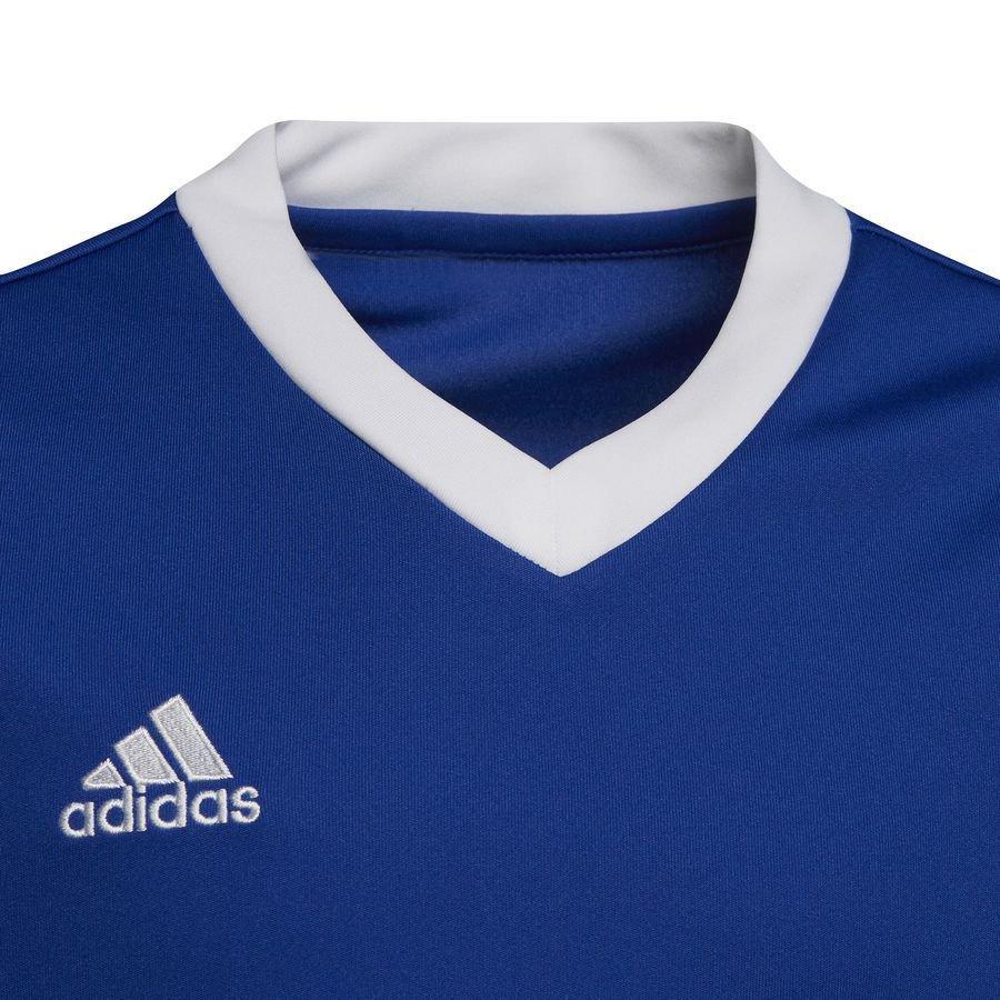 ADIDAS MAGLIA CALCIO ENTRADA 22 BAMBINO BLU ROYAL HG3948