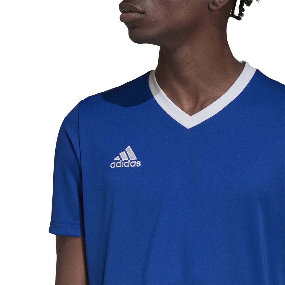 ADIDAS MAGLIA CALCIO ENTRADA 22 UOMO BLU ROYAL HG6283