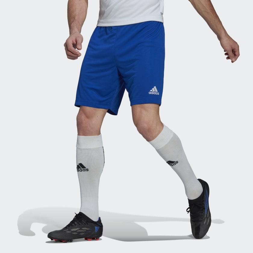 ADIDAS PANTALONCINO ENTRADA22 CALCIO  BLU ROYAL  HG6294