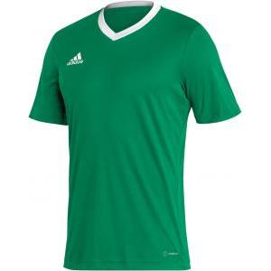 Entrada 22 maglia  uomo verde