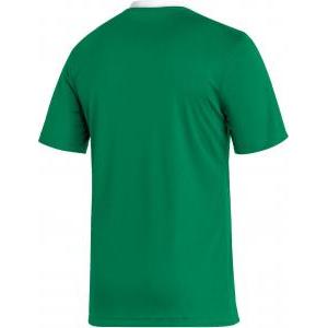 Entrada 22 maglia  uomo verde