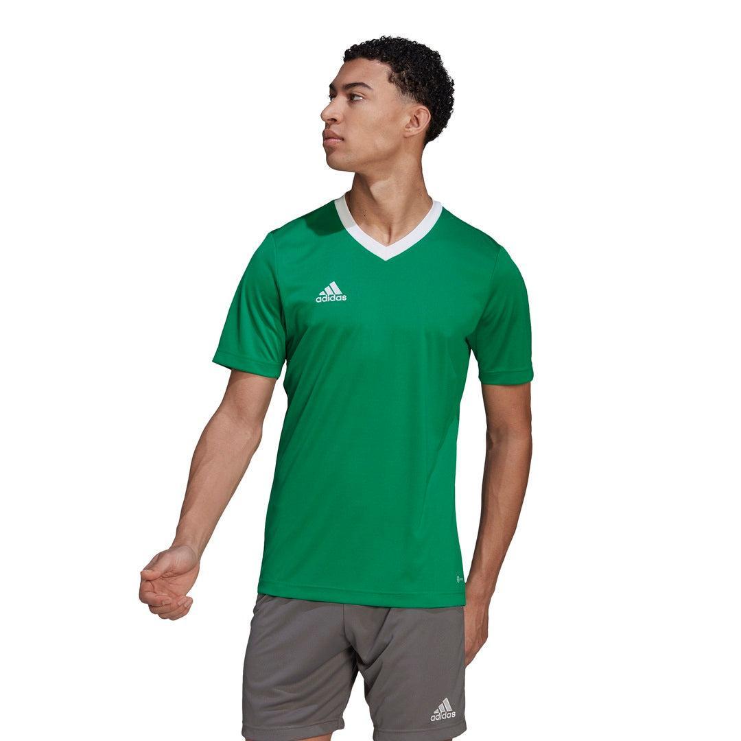 ADIDAS MAGLIA ENTRADA 22 UOMO VERDE HI2123