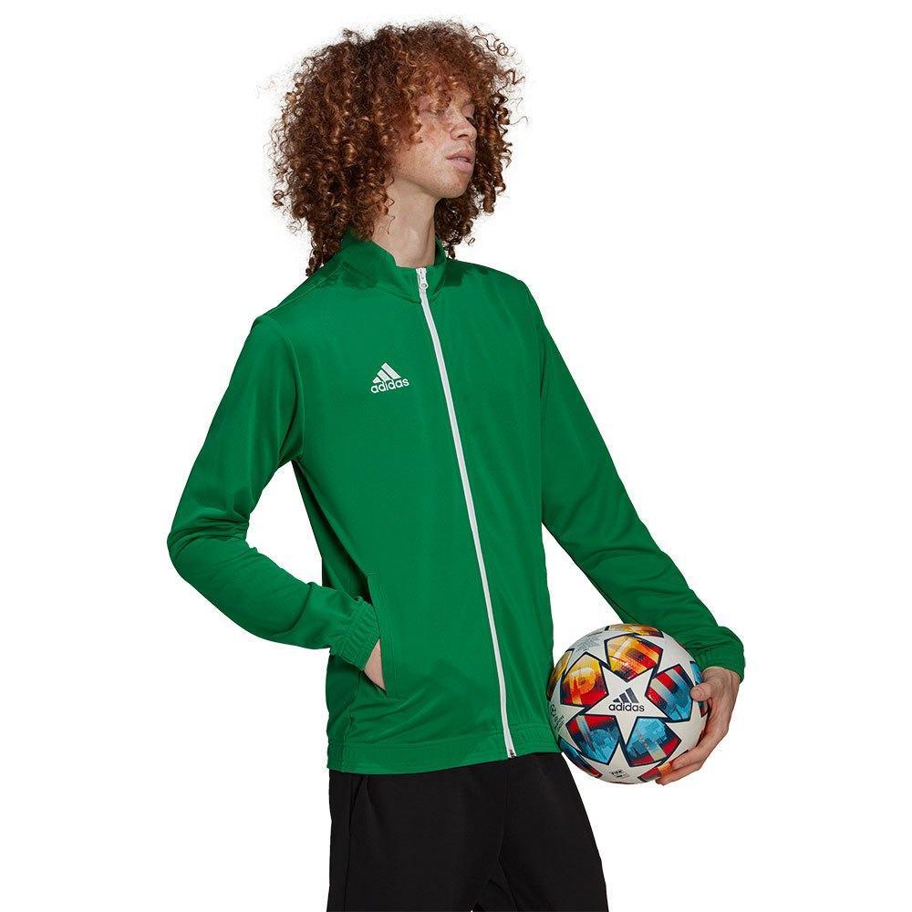 adidas adidas giacca entrada 22 uomo verde