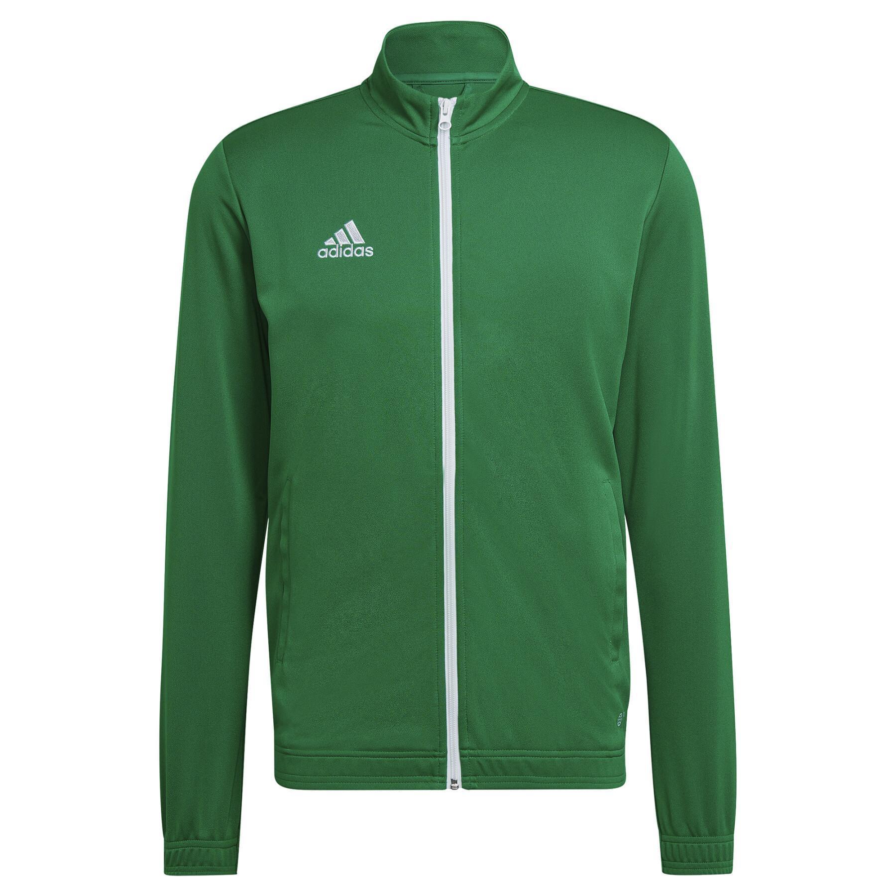 adidas adidas giacca entrada 22 uomo verde