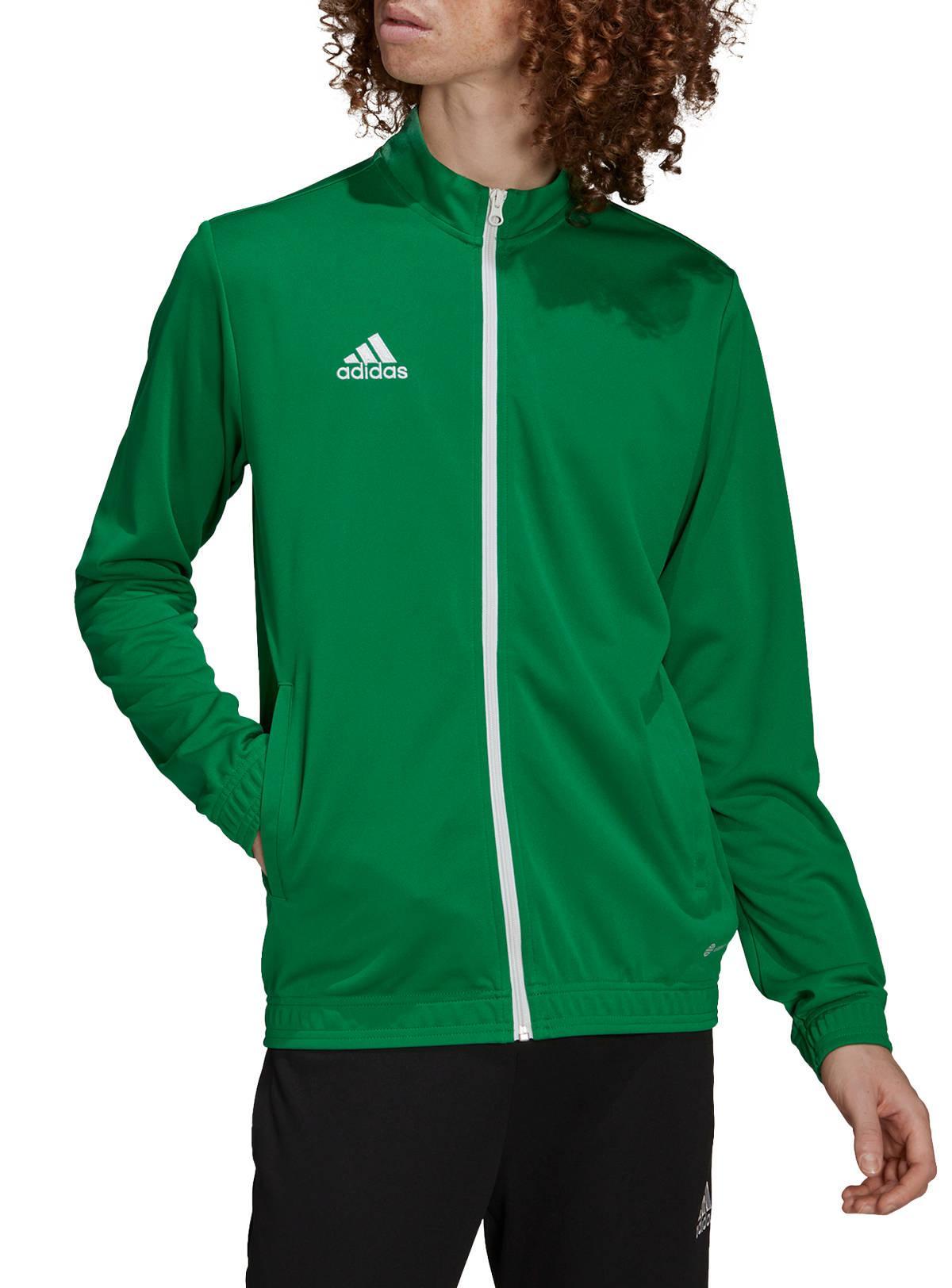 adidas adidas giacca entrada 22 uomo verde