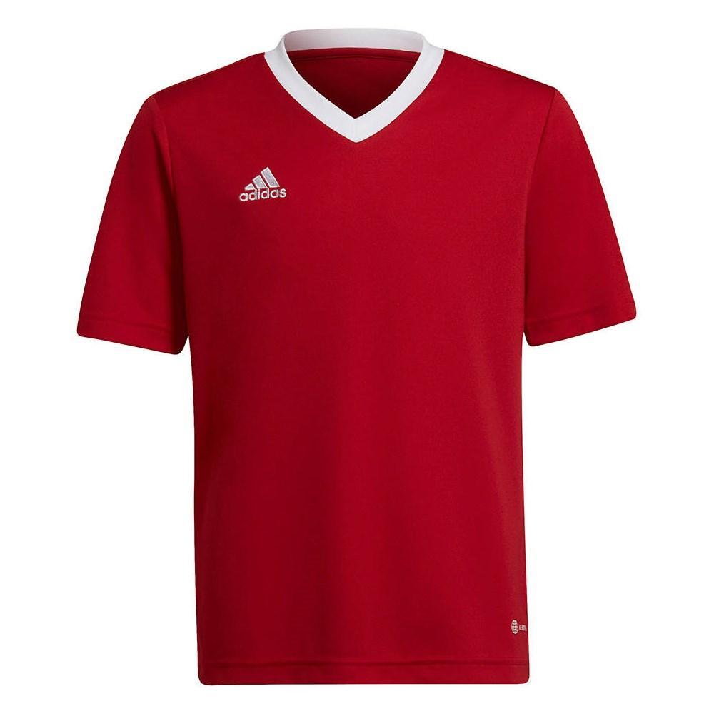 ADIDAS MAGLIA CALCIO ENTRADA22 BAMBINO ROSSO  H5749