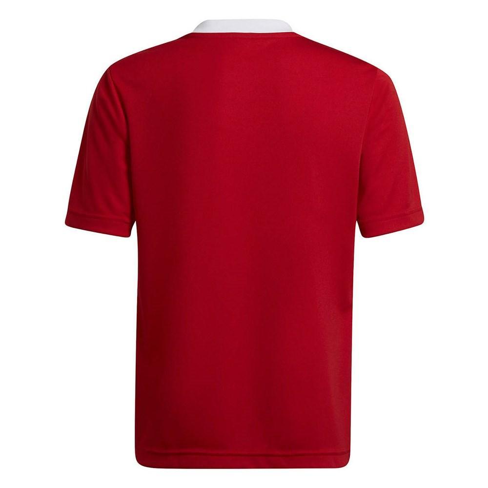 ADIDAS MAGLIA CALCIO ENTRADA22 BAMBINO ROSSO  H5749