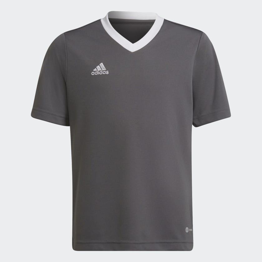 ADIDAS MAGLIA CALCIO ENTRADA 22 BAMBINO GRIGIO H57499