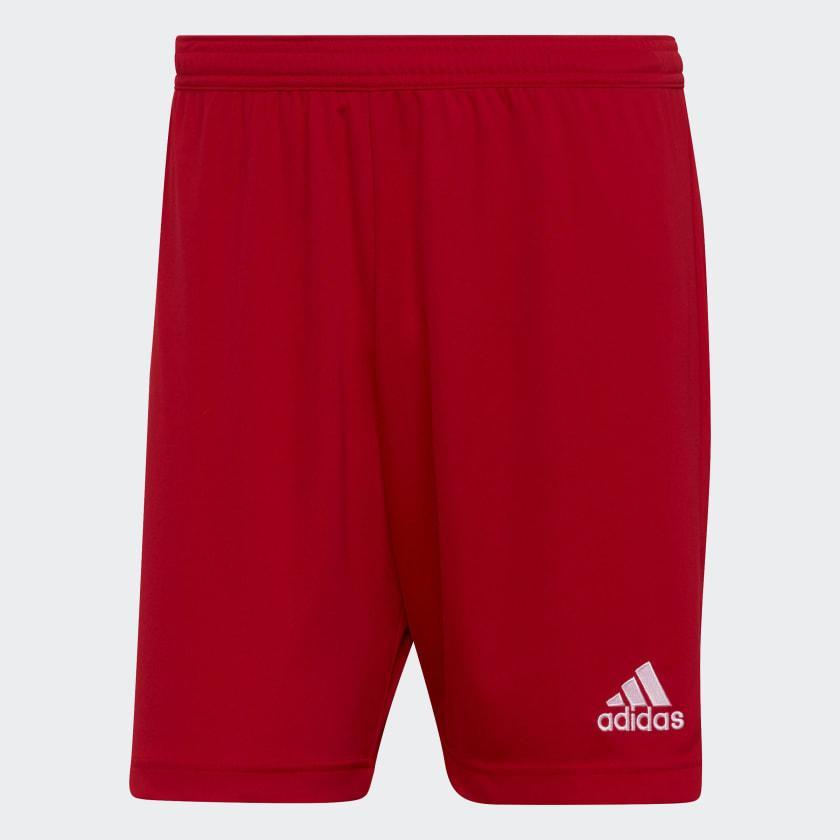 ADIDAS PANTALONCINO ENTRADA22 CALCIO UOMO H61735