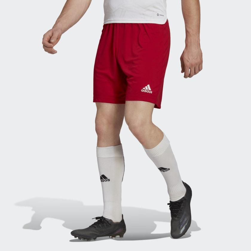 ADIDAS PANTALONCINO ENTRADA22 CALCIO UOMO H61735