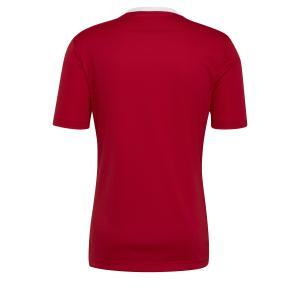 Entrada 22 maglia  uomo rosso