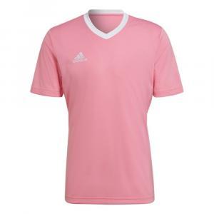 Maglia entrada 22 uomo rosa