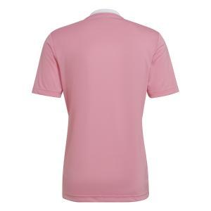 Maglia entrada 22 uomo rosa