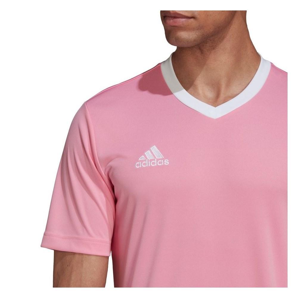 ADIDAS MAGLIA CALCIO ENTRADA 22 UOMO  ROSA HC5072