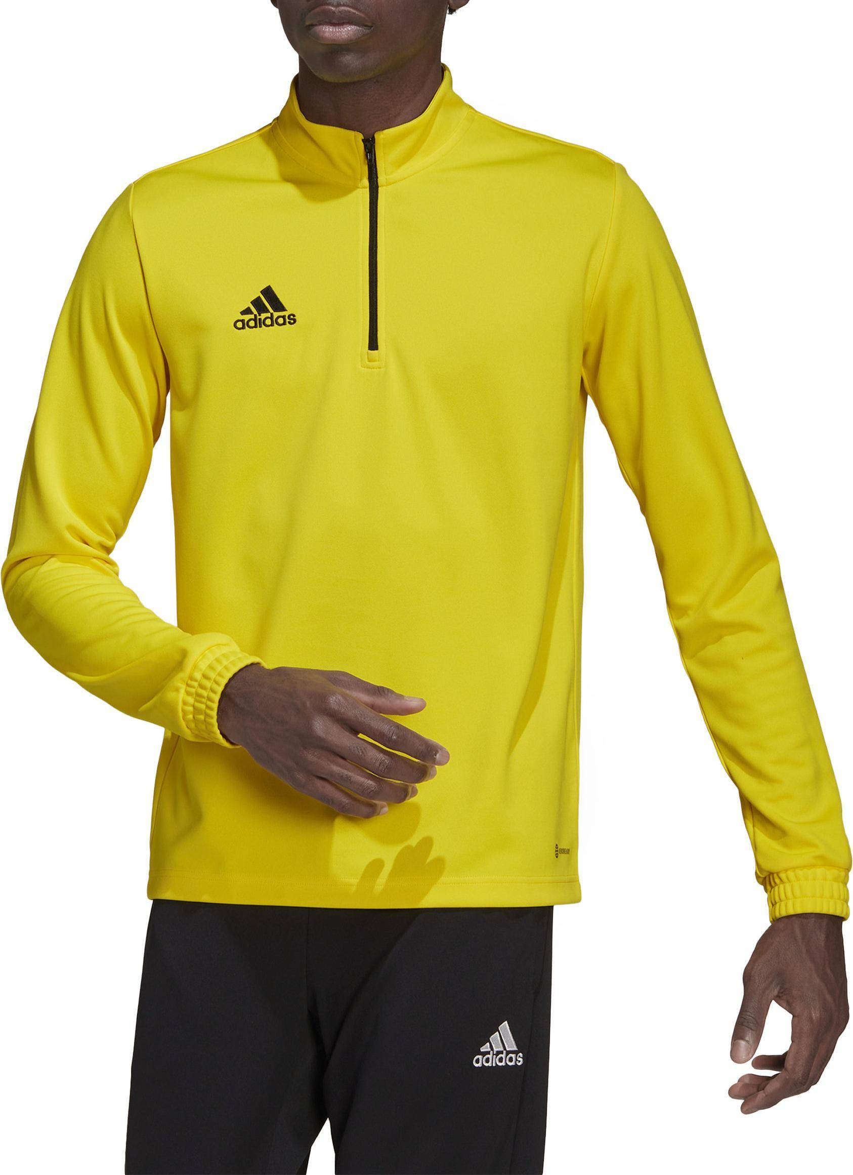 adidas adidas felpa tr entrada 22 giallo