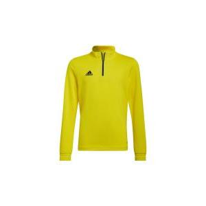 Adidas entrada giallo best sale