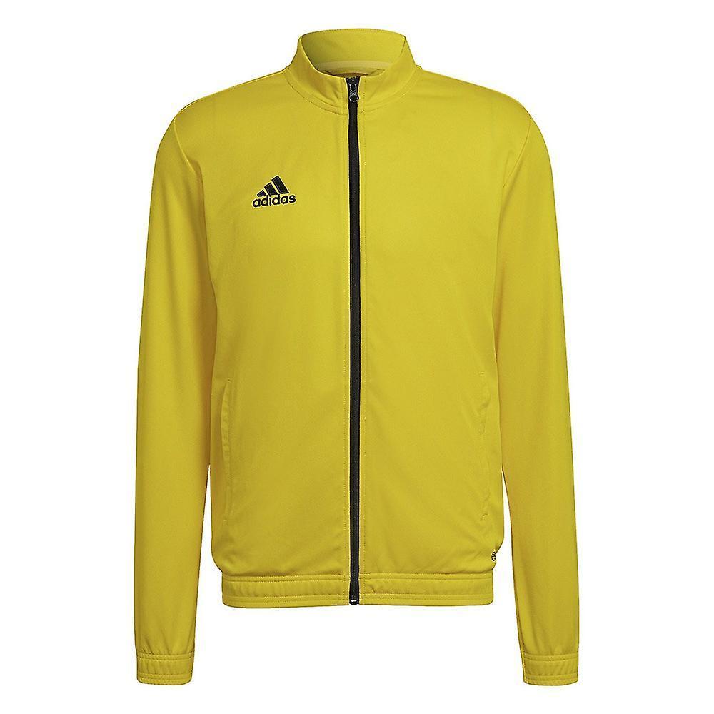 adidas adidas giacca rappresentanza entrada 22 uomo giallo