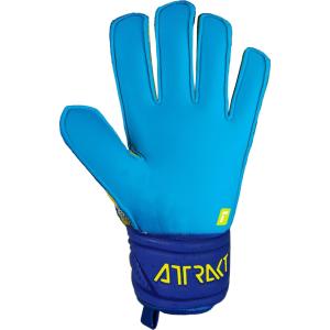 Guanti attrakt solid jr. - true blue/gold