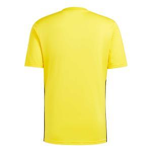 Tabela 23 maglia uomo giallo