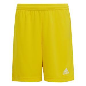 Pantaloncino entrada 22 bambino giallo