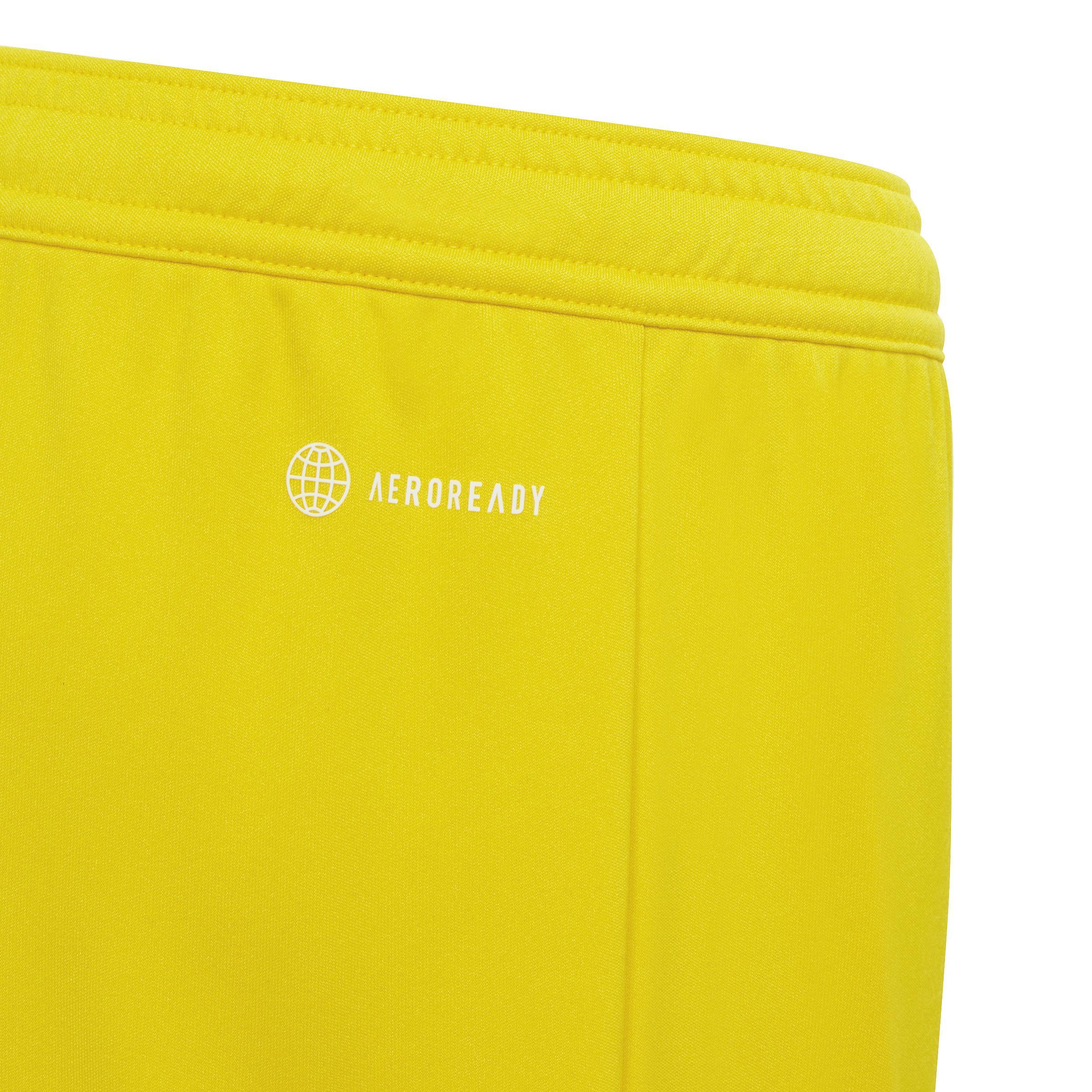 ADIDAS PANTALONCINO ENTRADA 22 BAMBINO GIALLO IC7411