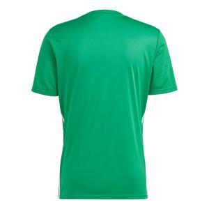 Tabela 23 maglia uomo verde