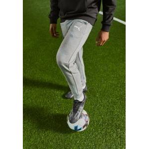 Teamgoal casuals pants - grey