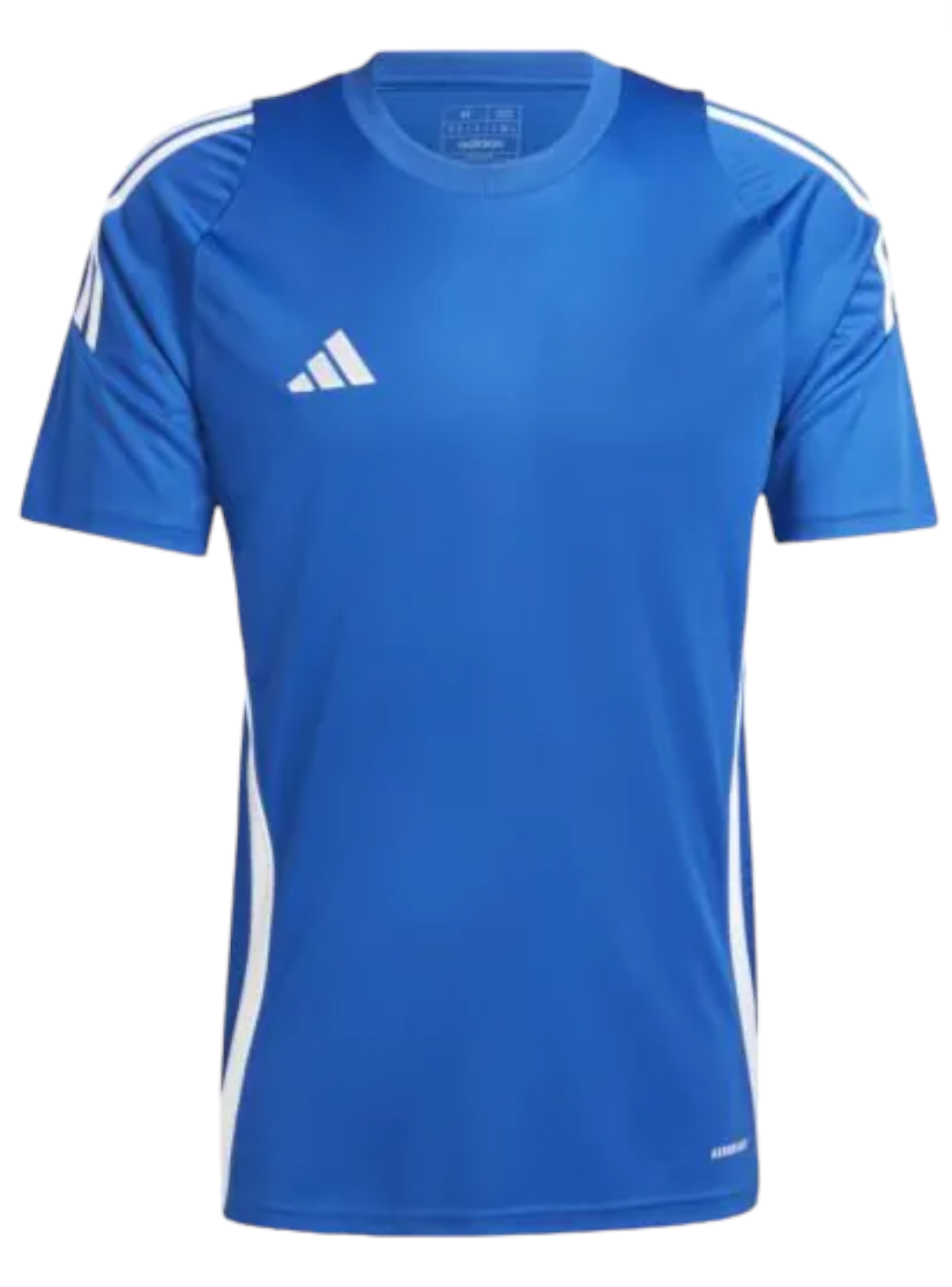 ADIDAS TIRO24 MAGLIA UOMO  BLU ROYALE IS1014