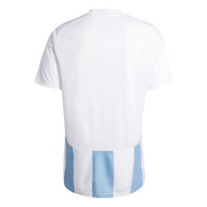 Striped 24 maglia uomo bianco celeste