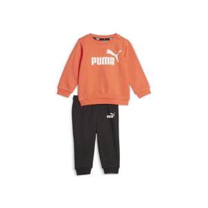 Ess+ minicats crew jogger fl jr. - orange