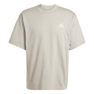 T-shirts  dc brackley- putty beige  uomo